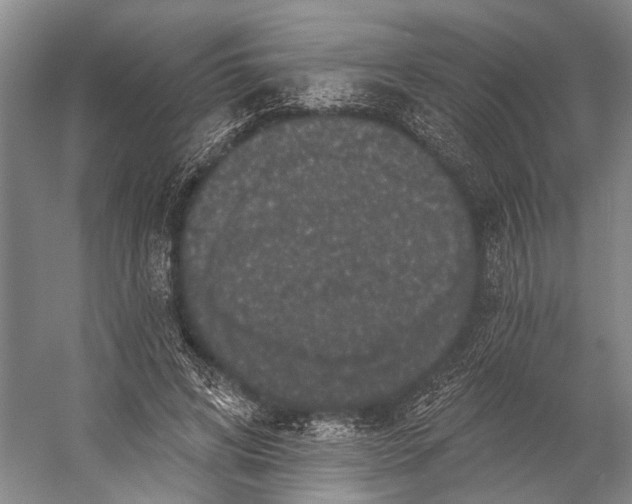 X0000056350592200509161804