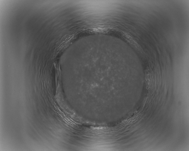 X0000056350593200509161804