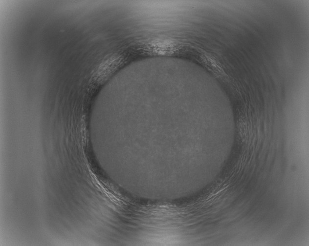 X0000056350594200509161804