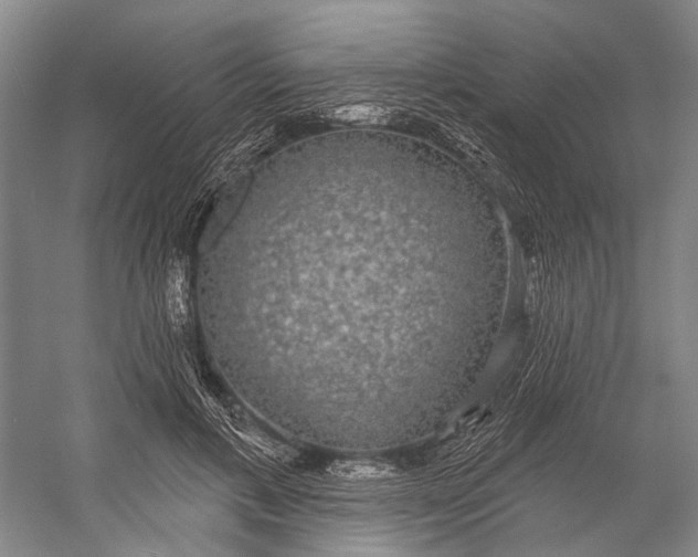 X0000056350597200509161804