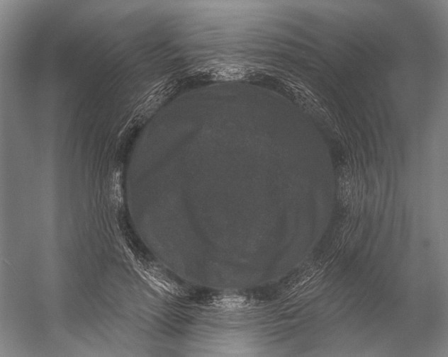 X0000056350598200509161804