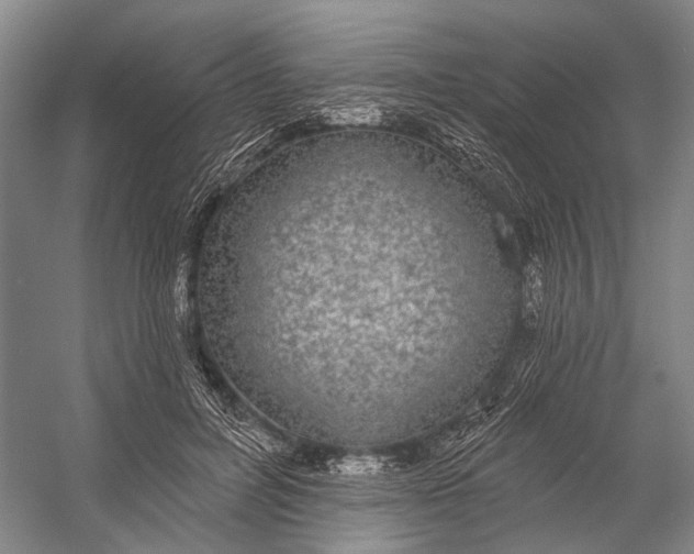 X0000056350600200509161804