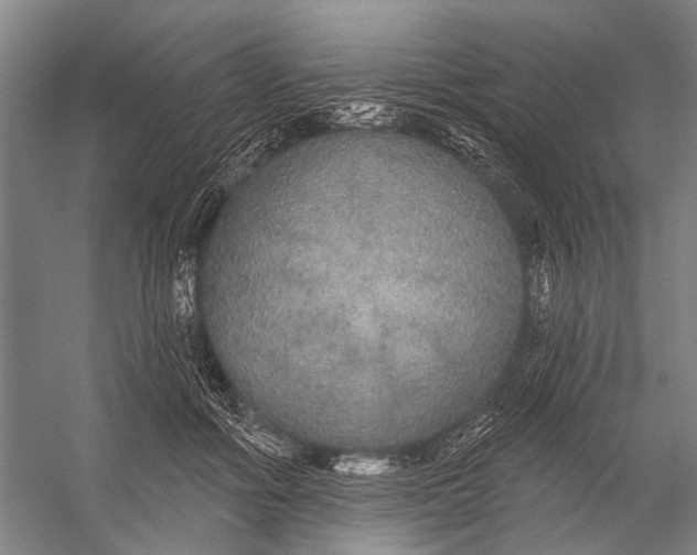 X0000056350602200509161804