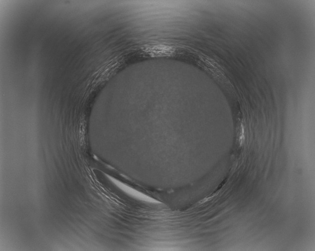 X0000056350604200509161804