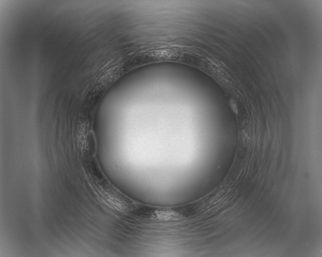 X0000056350605200509161804