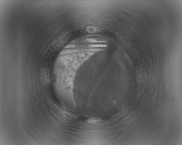 X0000056350606200509161804