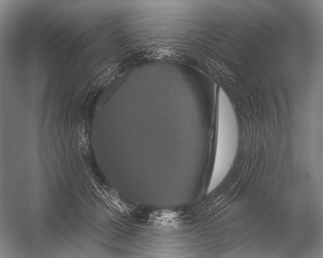 X0000056350607200509161804