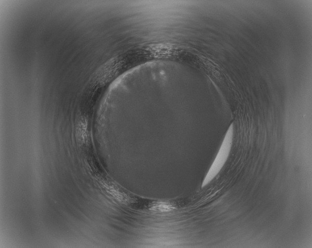 X0000056350610200509161804