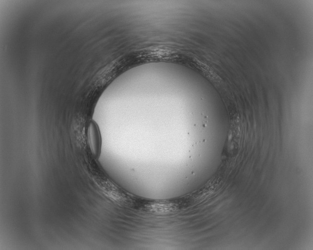 X0000056350615200509161803