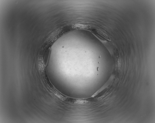 X0000056350617200509161803