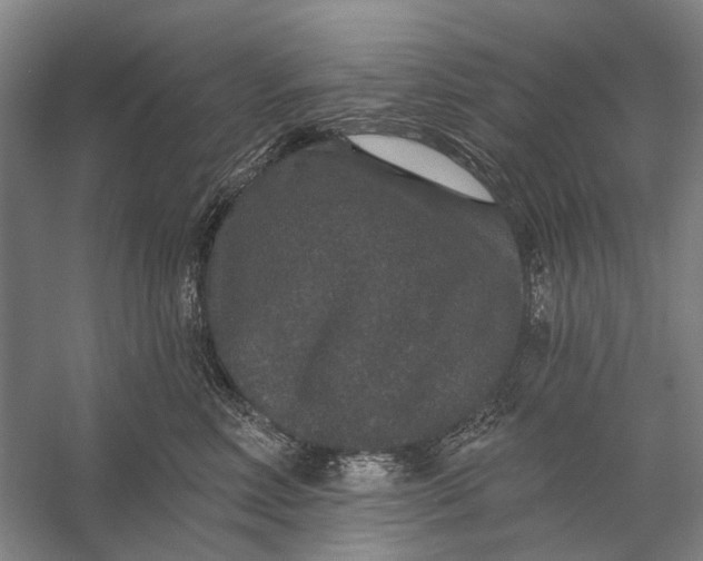 X0000056350618200509161803