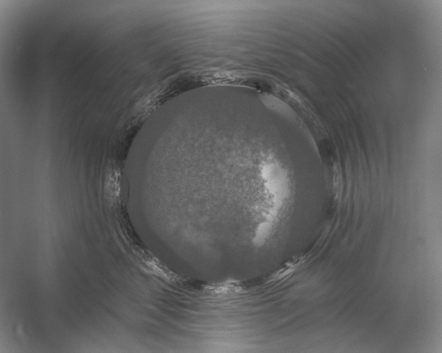 X0000056350621200509161803