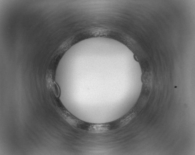 X0000056350622200509161803