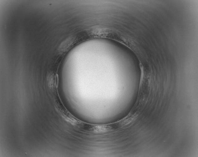 X0000056350623200509161803