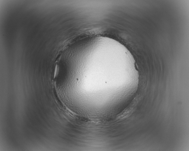 X0000056350624200509161803