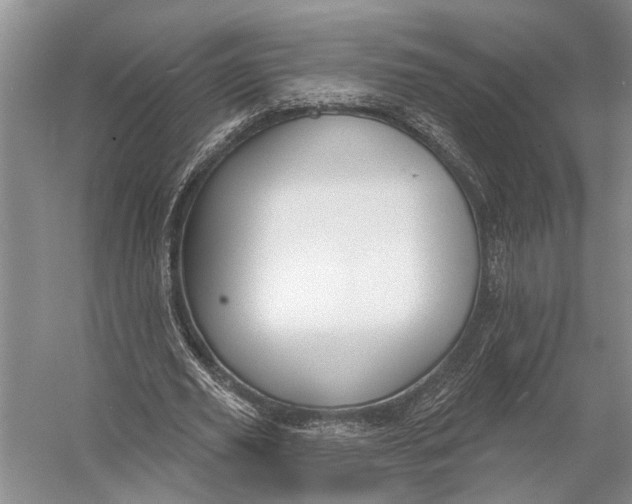 X0000056350629200509161803