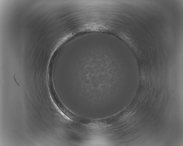 X0000056350630200509161803