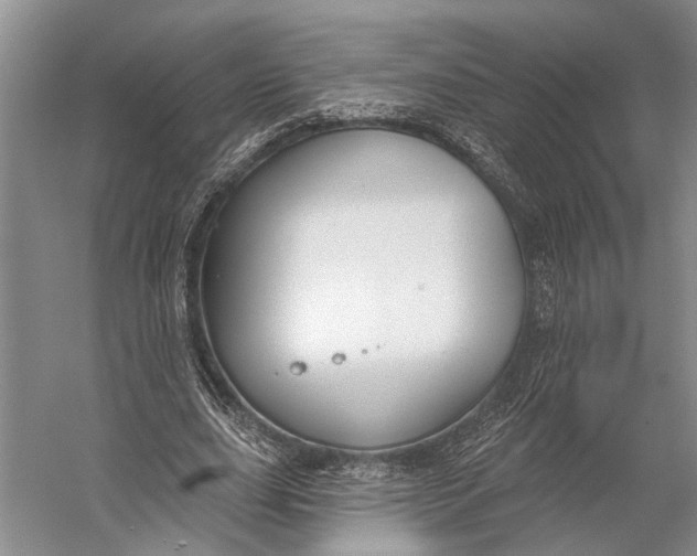 X0000056350631200509161803