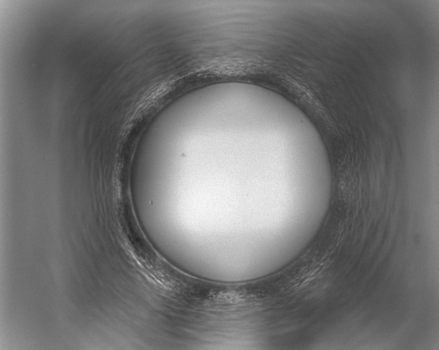 X0000056350635200509161803