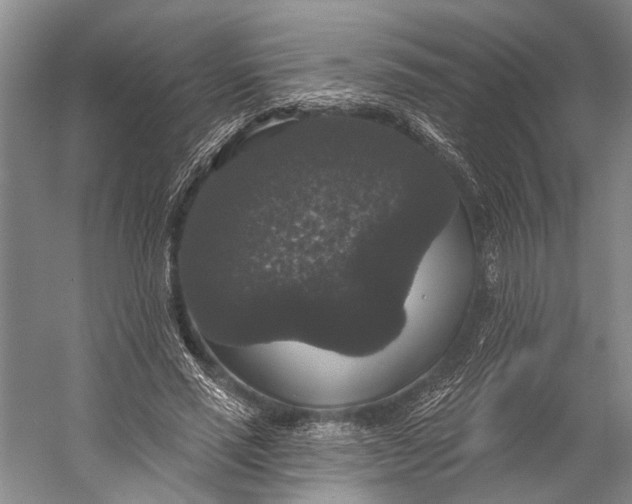 X0000056350637200509161803