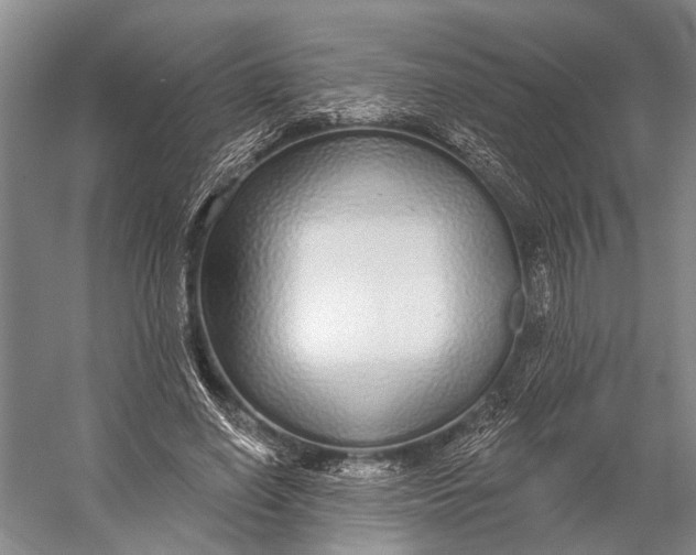 X0000056350638200509161803