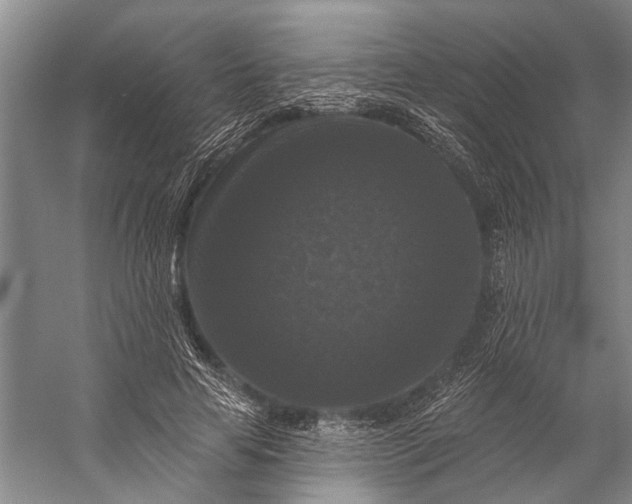 X0000056350641200509161803