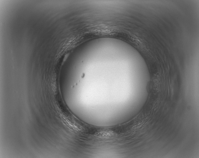 X0000056350642200509161803