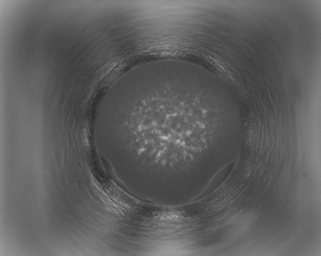 X0000056350643200509161803