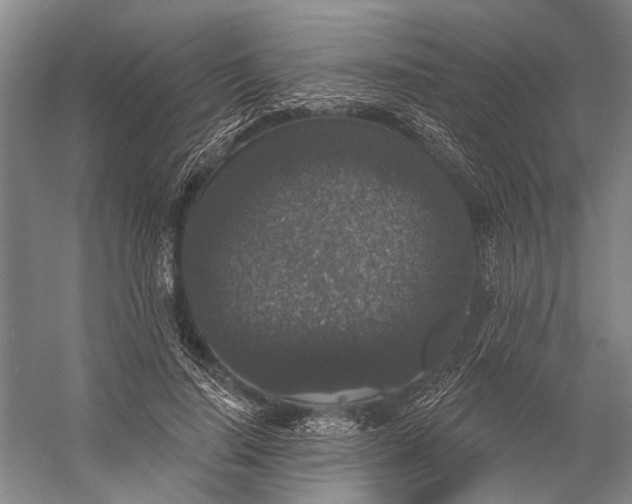 X0000056350644200509161803