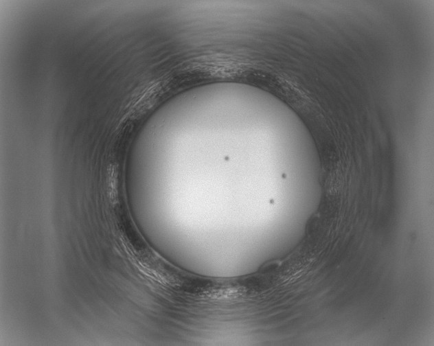 X0000056350646200509161803