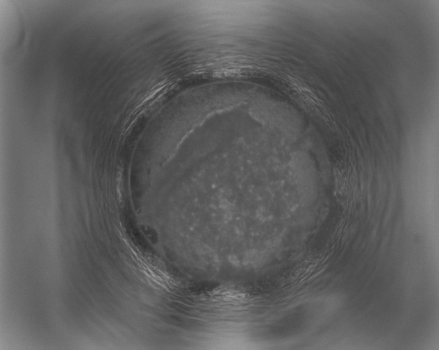 X0000056350648200509161803