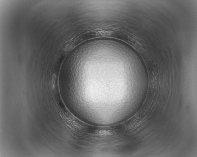 X0000056350649200509161803