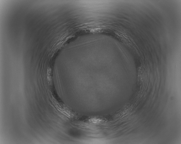 X0000056350650200509161803