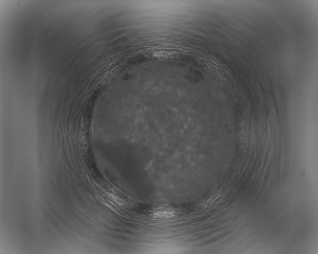 X0000056350653200509161803