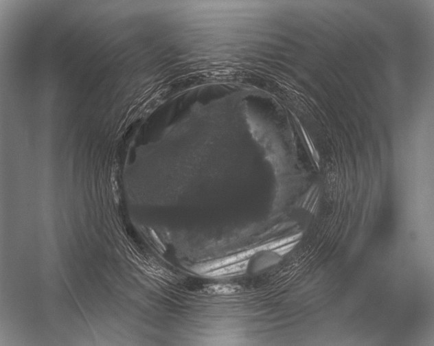 X0000056350654200509161803