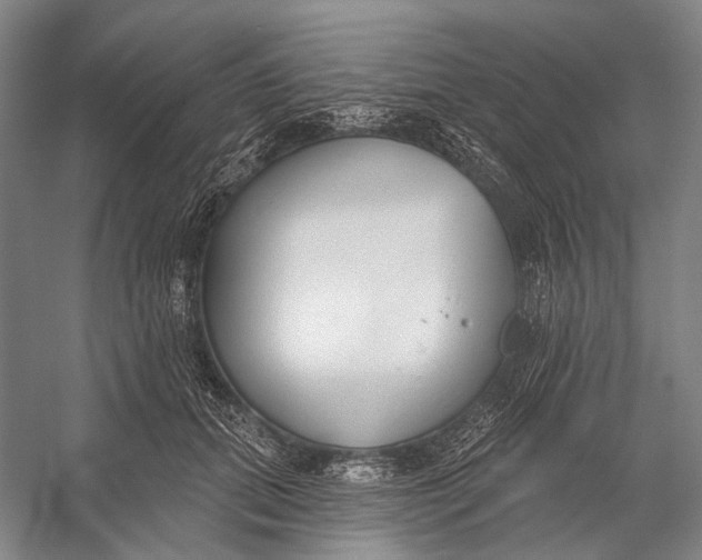 X0000056350655200509161803