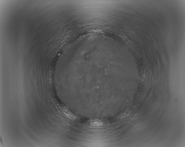 X0000056350658200509161803