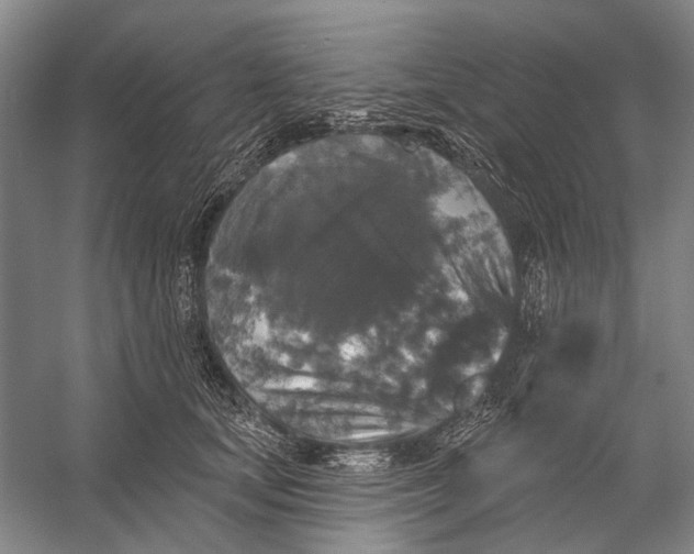 X0000056350659200509161803