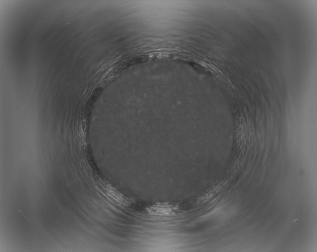 X0000056350661200509161803