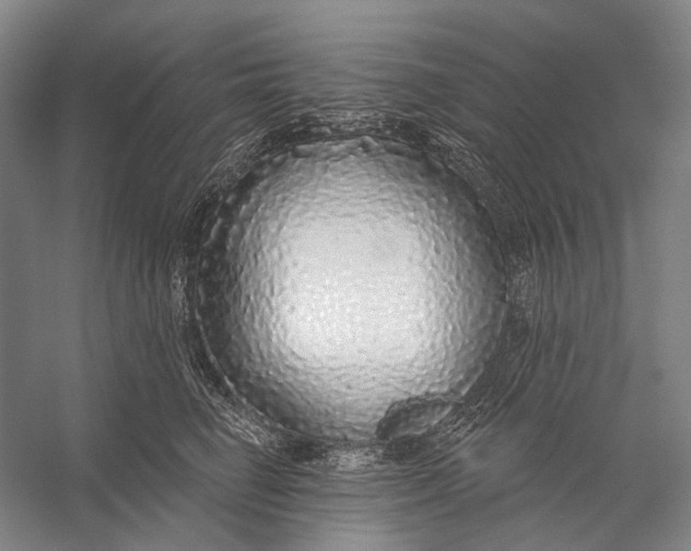 X0000056350662200509161803