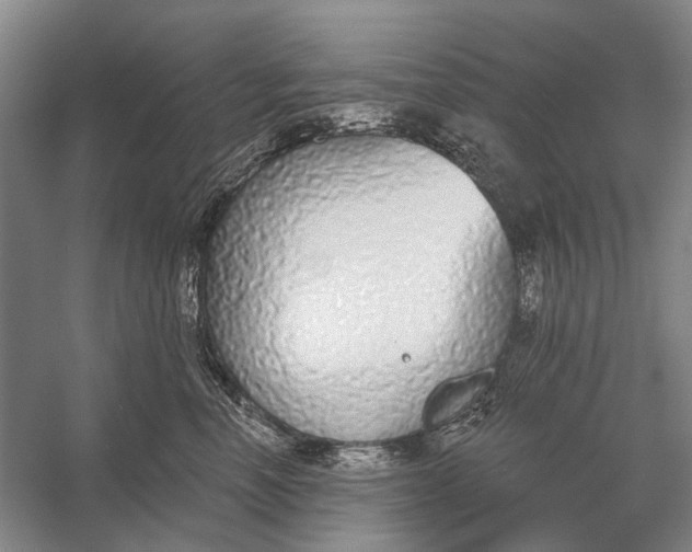 X0000056350666200509161803