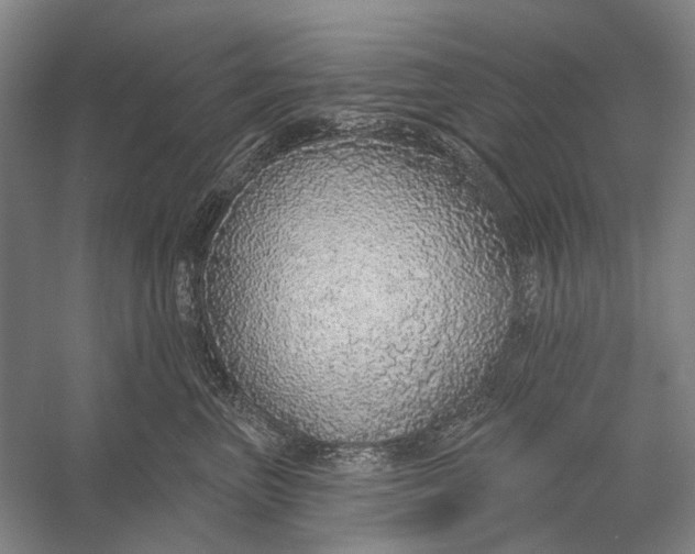 X0000056350667200509161803