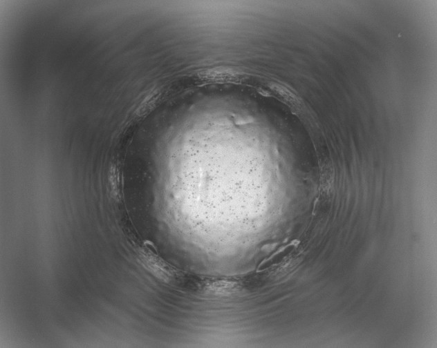 X0000056350669200509161803