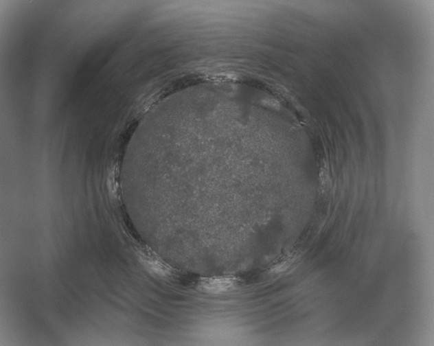 X0000056350671200509161803