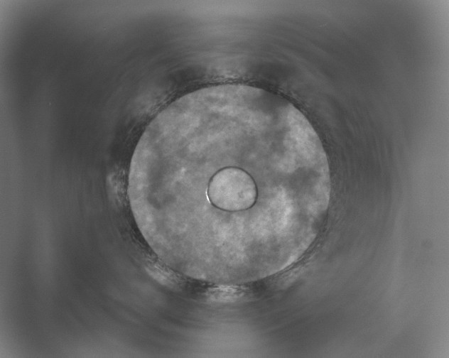 X0000056350672200509161803