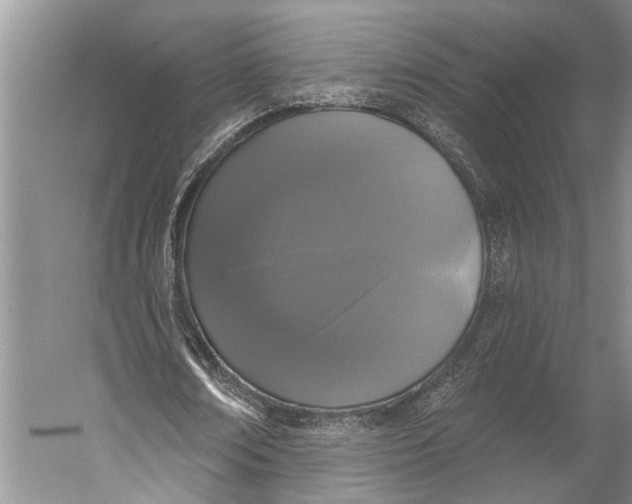 X0000056350674200509161802