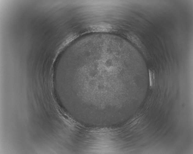 X0000056350675200509161802