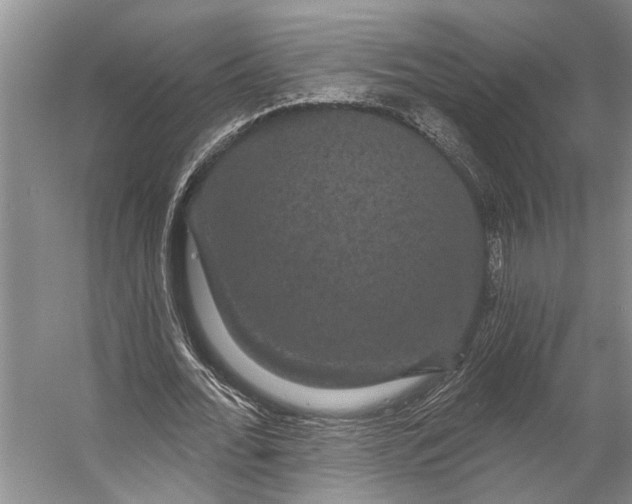 X0000056350676200509161802