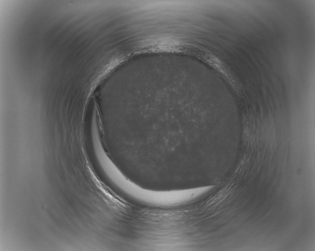 X0000056350677200509161802