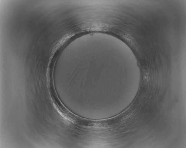 X0000056350678200509161802